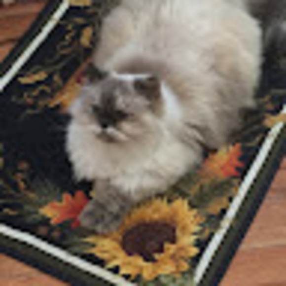 millie_chalk